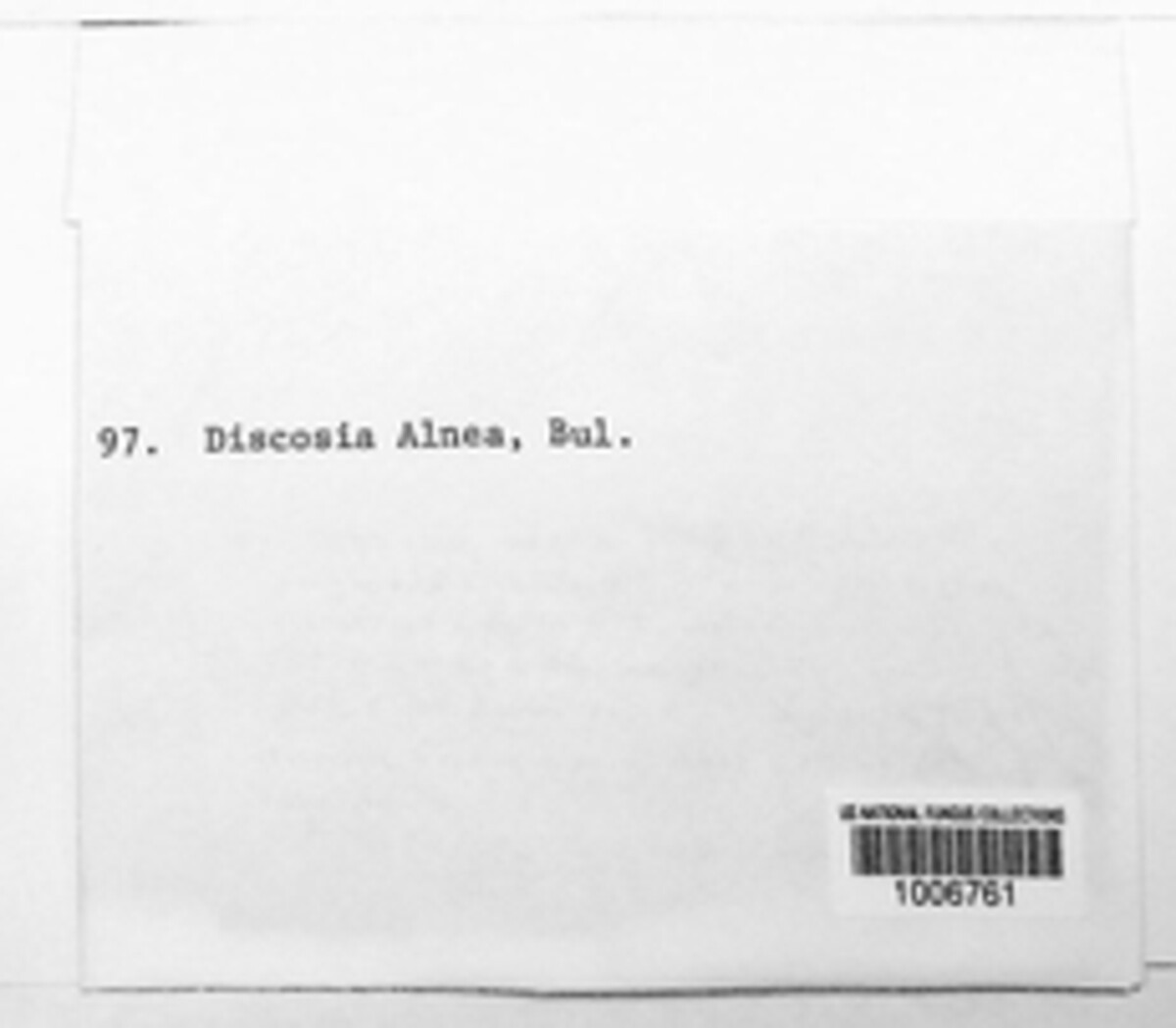 Asteroma alneum image